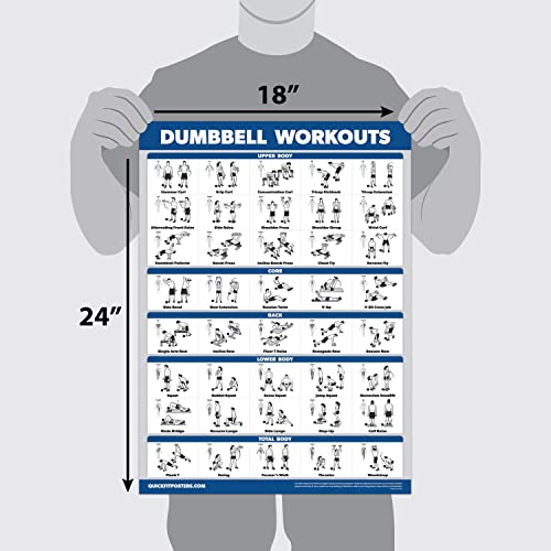 11 Pack - Exercise Poster Set, Dumbbell, Suspension, Kettlebell, Resistance Bands, Stretching, Bodyweight, Barbell, Yoga, Exercise Ball, Muscular System, Medicine Ball (LAMINATED, 18" x 24")