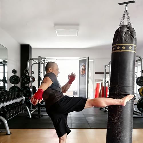 Punching Bag Hanger, 900 LBS Heavy Bag Wall Mount & Ceiling Hanger with 360° Swivel, Thick Steel Boxing Mount for MMA, Muay Thai & Home Gym (Multiple Mounting Options) - color: Ceiling - Flat Bracket