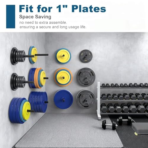 Wall Mounted Weight Plate Holder for 1" Plates, Heavy Duty Steel Powder Coated with Rubber Pads, Space Saving No Assembly Needed Tilt Up Design for Home Gym Wall Storage - size: 1 Inch
