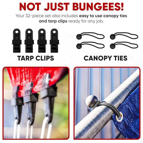 FORTEM Bungee Cord Assortment, 32pk Bungee Cords Multi Pack, Includes 10", 18", 24", 32", 40" Bungees and 8" Canopy/Tarp Ball Ties, Plastic Coated Metal Hooks - size: Pack of 32 Standard (10", 18", 24", 32", 40")
