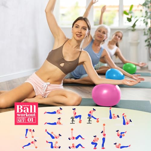 Aoriher 10 Pack 9 Inch Small Pilates Ball Bulk Mini Exercise Ball Portable Non-Slip Workout Yoga Balls with Air Pump for Stability, Barre, Fitness, Balance, Physical &Core, Gym Home Office Use - color: Multicolor