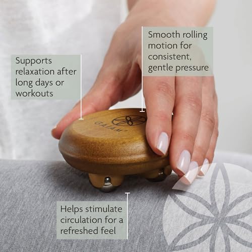 Gaiam Champion Handheld Percussion Massager, Portable (Black) | Handheld percussion massager for targeted muscle recovery, soreness