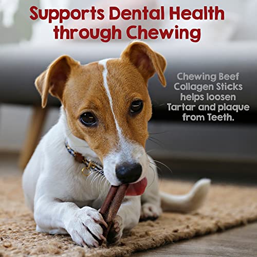 Riley's 12" Beef Collagen Sticks for Dogs - 100% Natural Beef - 10ct | Digestible Collagen Chews for Dogs - Single Ingredient, No Hide Chews - Grain-free and Gluten-free Pet Treat