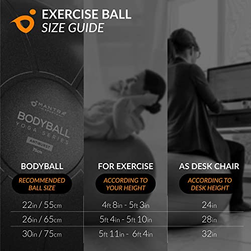 Exercise Ball – Yoga Ball for Pilates & Fitness - Birthing for Pregnancy, Stability, Core, Balance, Therapy for Physical Rehab, Workout for Home Gym & Office Chair, Fast Pump Included - color: Gray, size: L (for Height 5'4" - 5'10")