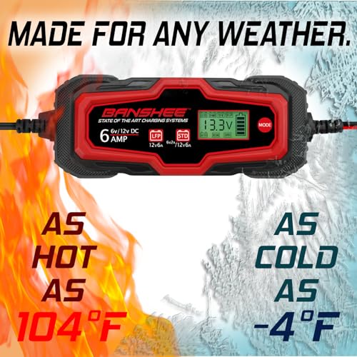 Smart Battery Charger, Maintainer, and Desulfator 6 Amp 6V/12V - for Cars, Trucks, SUVs, RVs- Standard & Absorbed Glass Mat Lead Acid (Wet, STD, AGM) & LiFePO4 Batteries- LCD Display, SAE Connectors