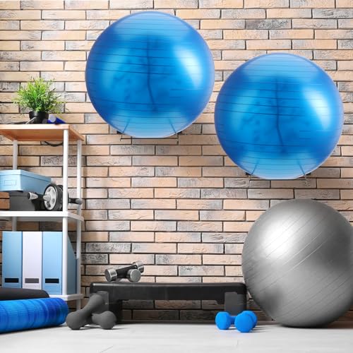 Threan Wall Mounted Yoga Ball Holder, Metal Medicine Ball Rack 16.6'' Thickened Steel Exercise Storage for Home Gym Studio, Black Sport Equipment Wall Mount Organizer