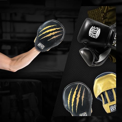 CLETO REYES Boxing Punching Mitts, Focus Sparring Striking Training Punch Pads, MMA, Kickboxing, Muay Thai, Leather - style: Tiger