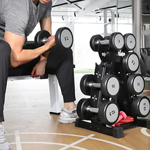 Dumbbells Rack Weight Stand (Rack Only), 13GA Steel Constructed,Max Support 570lbs, 4 Tier Compact Design