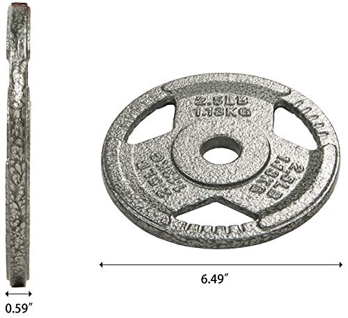 Fitvids 2-Inch Olympic and 1-Inch Standard Cast Iron Weight Plate for Strength Training & Weightlifting, Multiple Weights Available - color: Standard (1-Inch Center), style: 2.5LB (Pair)