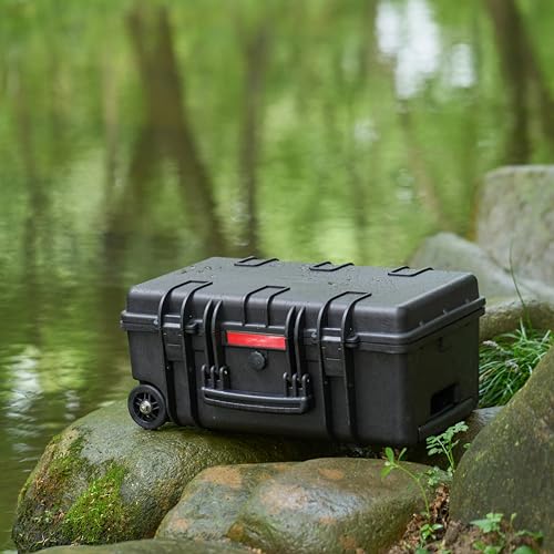Amazon Basics Hard Protective Camera Case with Wheels, Large, Black, 22"L x 14"W x 9.8"H - size: Large