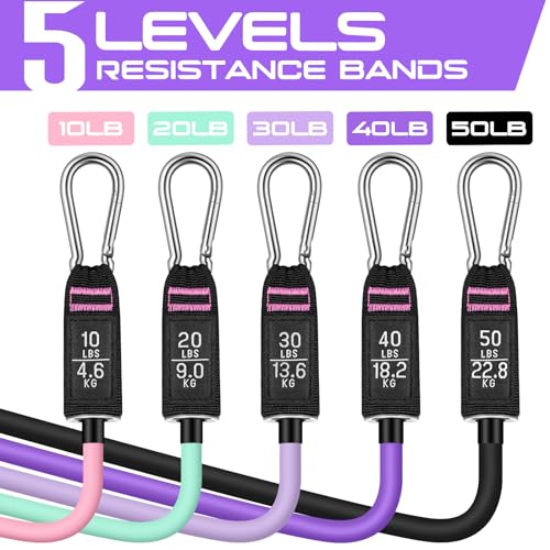 RENRANRING Resistance Bands for Working Out, 150LBS Exercise Bands, Workout Bands, Resistance Bands Set with Handles for Men Women, Legs Ankle Straps - color: Pink, Green, Light-purple, Purple, Black, size: 51.0 inch