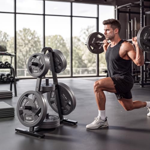 Weight Rack for Home Gym, 400 LB Weight Tree - size: for Olympic Weight Plate