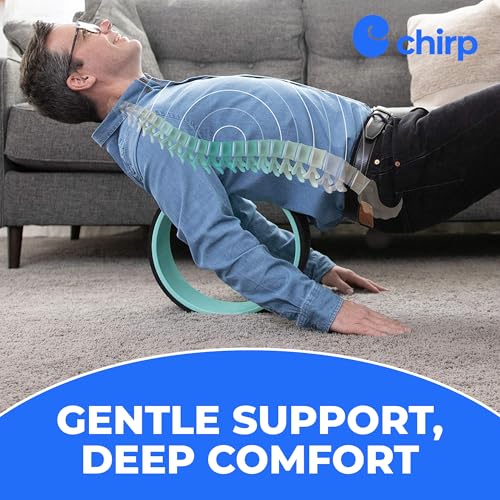 Chirp Wheel+ Foam Roller 4-Pack, Back & Neck Pain Relief, Mint | Back Roller Wheel Set, Foam Roller for Back Pain, Spine Decompression, 4/6/10/12 in, Neck and Muscle Recovery - size: 4-Pack Mint
