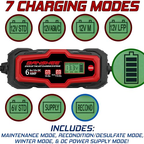 Smart Battery Charger, Maintainer, and Desulfator 6 Amp 6V/12V - for Cars, Trucks, SUVs, RVs- Standard & Absorbed Glass Mat Lead Acid (Wet, STD, AGM) & LiFePO4 Batteries- LCD Display, SAE Connectors