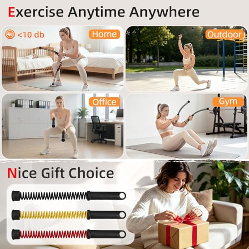 Abahub Weighted Ropeless Battle Rope, Portable Silent Cordless Battle Ropes, Space Saving Home Gym No Battle Ropes with Storage Bag, 2PCS Black - Set B - color: Black