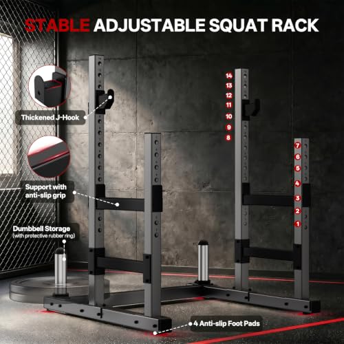 PASYOU Adjustable Squat Power Rack for Home Gym | Adjustable Free Weight Racks, Dual Steel Frame, Push-up Handles, with Dumbbell Storage, Heavy Strength Training for Home Gym - color: Silver