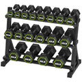HANDBODE Rubber Coated Hex Dumbbell Set with Rack, 300-840 lb | Fixed Weights Sets with Heavy Duty Storage Stand, Multiple Weight Options Home Gym Equipment for Strength Training - style: 570 lb Set (10-55 lb) with Rack