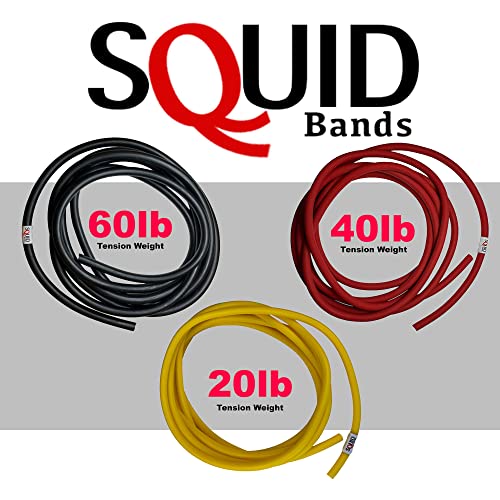 Wrestling, Jiu Jitsu, Judo, Grappling, MMA, Boxing, Muay Thai, Solo Training, Resistance Band - color: Black (Large), size: Large
