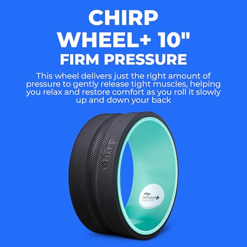 Chirp Wheel+ Foam Roller, Back & Neck Pain Relief, Mint 10-Inch - size: 10" - Medium