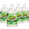 OdoBan Disinfectant Concentrate and Odor Eliminator, 4 Gallons, Original Eucalyptus Scent - size: 128 Fl Oz (Pack of 4)