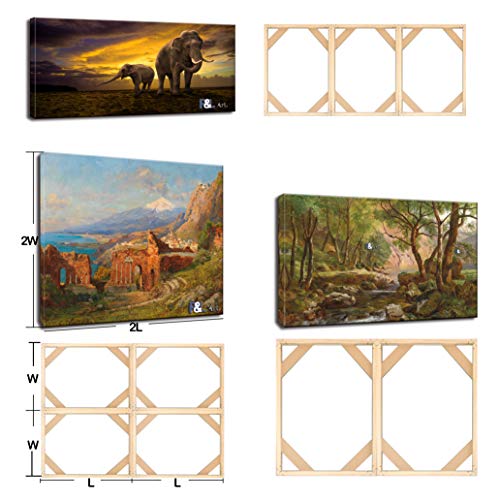 DIY Solid Wood Canvas Frame Kit with Stretch Bar - Customized Wooden Art Frames for Paintings - Easy-to-Build Canvas Stretching System - Wall Art & Oil Painting Accessories (24" x 30") - size: 24" x 30"