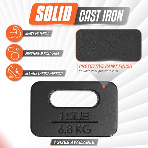Yes4All Cast Iron Rucking Weight for Backpack, Training Weight Plate with Ergonomic Rounded Handle, Protective Glossy Finish for Weighted Walking, Hiking, Rucking, Resistance Workout - style: B. 15LB
