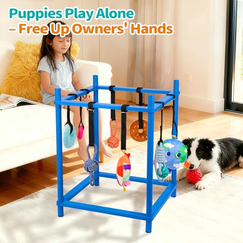 Wooden Puppy Play Gym for Small Dogs, Puppy Jungle Gym with 8 Hanging Toys, Wood Frame Indoor Puppy Gym with Dog Enrichment Toys for Puppies and Small Pets (Blue) - color: Blue