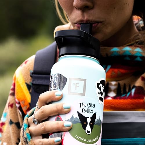 IRON °FLASK Camping & Hiking Hydration Flask with Straw, Wide Mouth Insulated Stainless Steel Sports Water Bottle - 18 oz Bubble Gum | Insulated Stainless Steel Sports Water Bottle with Leakproof Straw Lid - BPA Free, Cold 24 Hrs, Sweat Free (Bubble Gum)