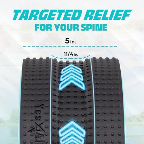 Yes4All Yoga Wheel Roller, 500 lb Capacity Back Cracker Roller for Comfort HIPS & Neck, Available in 6”/10”/12” Sizes - color: Black - Mint, style: 12" - Gentle