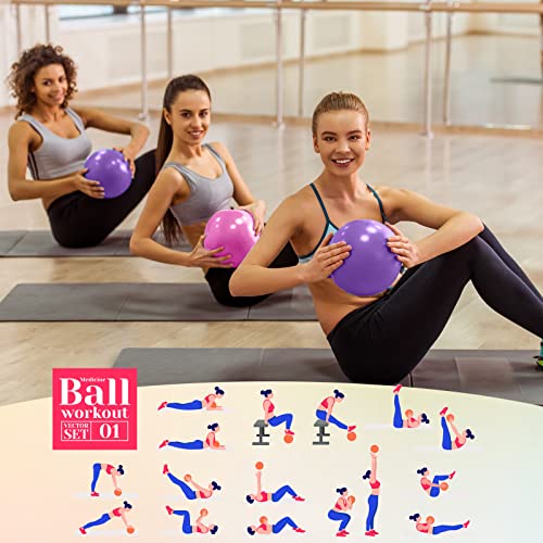 Aoriher 10 Pack 9 Inch Small Pilates Ball Bulk Mini Exercise Ball Portable Non-Slip Workout Yoga Balls with Air Pump for Stability, Barre, Fitness, Balance, Physical &Core, Gym Home Office Use - color: Pink, Purple