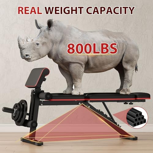 Adjustable Weight Bench with Leg Extension Preacher Pad, 880LBS Capacity Workout Bench Multi-function Bench Press Full Body Workout, Incline Decline Bench for Home Gym Strength Training