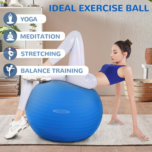 Fitvids Anti-Burst and Slip Resistant Exercise Yoga Fitness Birthing Ball with Quick Pump, 2,000-Pound Capacity, Multiple Colors and Sizes - color: Blue, style: 19-22in (48-55cm), M