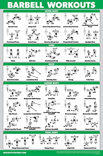 11 Pack - Exercise Poster Set, Dumbbell, Suspension, Kettlebell, Resistance Bands, Stretching, Bodyweight, Barbell, Yoga, Exercise Ball, Muscular System, Medicine Ball (LAMINATED, 18" x 24")