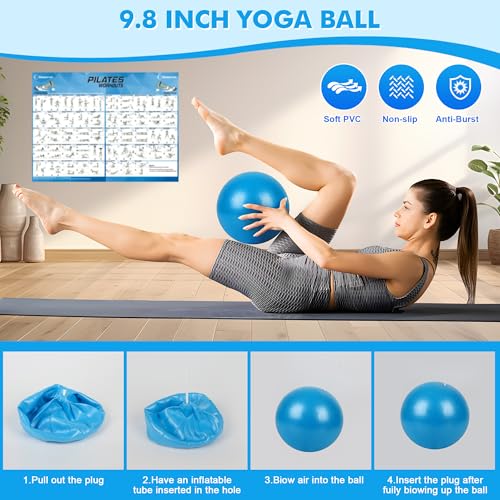 Goocrun Pilates Ring Set Exercise Equipment, with Exercise Resistance Bands Set, Pilates Ball, Sliding Disks. Portable Home Gym - with Fitness Guide Poster - color: Black, size: Mid-level
