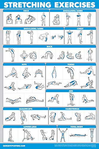 11 Pack - Exercise Poster Set, Dumbbell, Suspension, Kettlebell, Resistance Bands, Stretching, Bodyweight, Barbell, Yoga, Exercise Ball, Muscular System, Medicine Ball (LAMINATED, 18" x 24")