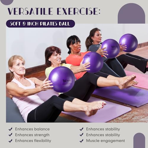 Set of 25 Pilates Balls Bulk 9 Inch Small Exercise Ball for Yoga, Stability, Physical Therapy, Balance, Barre, ABS Core, Gym, Training, with Mesh Bag and Pump - color: Purple
