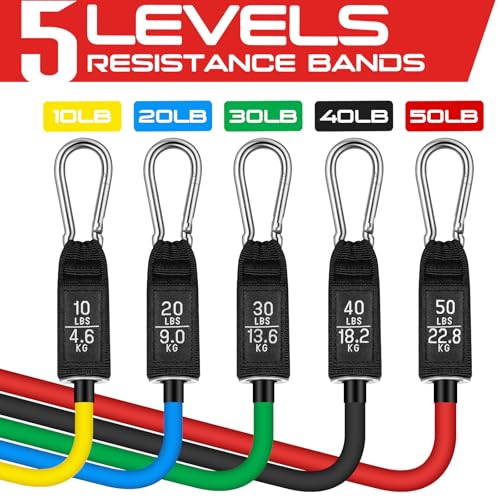 RENRANRING Resistance Bands for Working Out, 150LBS Exercise Bands, Workout Bands, Resistance Bands Set with Handles for Men Women, Legs Ankle Straps - color: Light pink ,Pink, Green , Grey ,Black, size: 51.0 inch