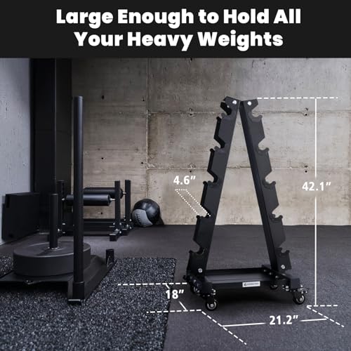 LIONSCOOL Premium Solid Steel Dumbbell Rack Stand Only, A-Frame Portable Weight Storage Organizer with Optional Tray and Wheels, Perfect for Home Gym Fitness Storage (200LBS/300LBS/700LBS Weight Capacity Available) - style: Large, 700 LBS