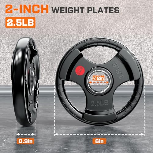 XDDIAS Rubber Weight Plates for Barbell, 2-Inch Olympic Grip Plate for Strength Training, Weightlifting and Bodybuilding in Home & Gym, Solid Cast Iron Weight Plates Pair and Sets - color: 2x2.5LB