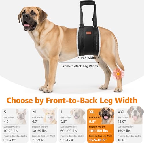 LOOBANI Dog Sling for Large Dogs Hind Leg Support, Portable Dog Lift Harness for Back Legs, Comfortable Leg Support Assistance for Elderly Dogs with Hip, ACL Brace, Senior, Injured - color: Grey&Grey, size: X-Large