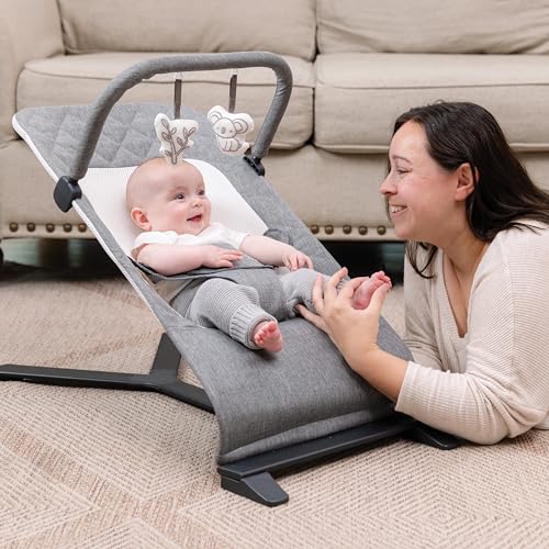 Baby Delight Alpine Deluxe Portable Bouncer | Infant | 0 – 6 months | Charcoal Tweed - color: Charcoal Tweed