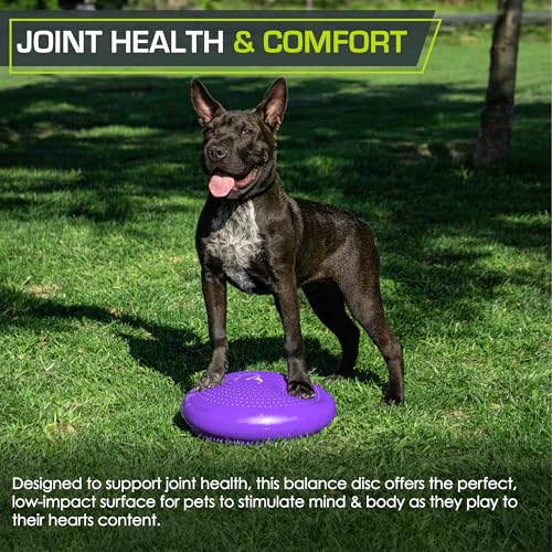 ProsourceFit Core Balance Disc Trainer, 14” Diameter with Pump for Improving Posture, Fitness, Stability - color: Purple