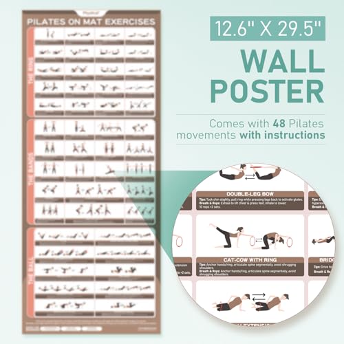 PhysKcal Pilates Kit, 15-Inch Pilates Ring with 1x Pilates Ball & 5X Bands | Aesthetic Home Pilates Equipment Set, Essential Kit for Beginners in Minimalist Style. Comes in Premium Packaging - color: Soft Mint