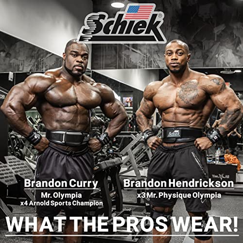 Schiek Sports Model 3006 Carbon Fiber Lifting Belt - Nylon Fiber Gym Belt with Marine Vinyl Back Support - color: Black, size: Small