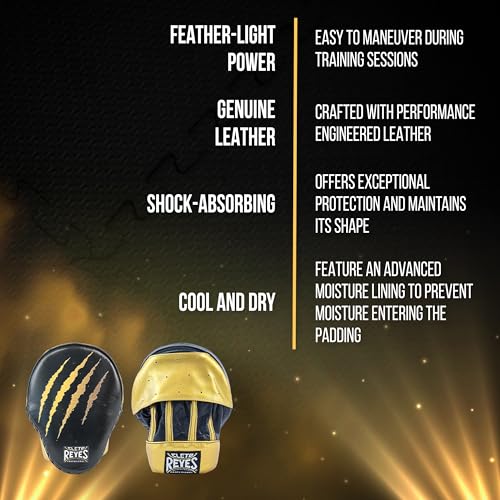 CLETO REYES Boxing Punching Mitts, Focus Sparring Striking Training Punch Pads, MMA, Kickboxing, Muay Thai, Leather - style: Tiger
