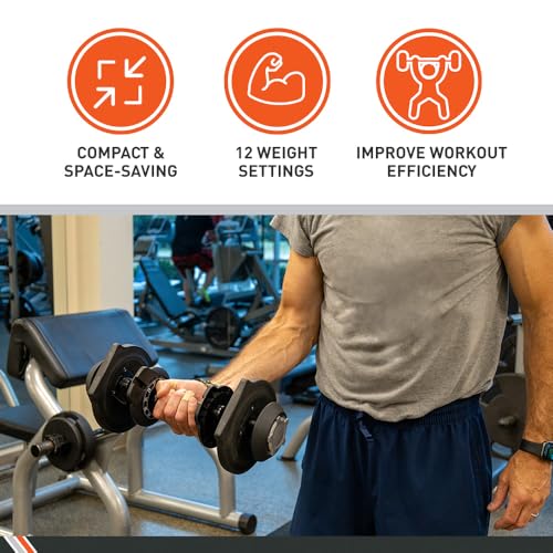 BodySport 40 Pound Adjustable Dumbbells – Includes 12 Free Weights, Ranging from 3 to 40 Pounds, Ideal for Home Gym Workouts and Weight Training - style: 40LB - PAIR