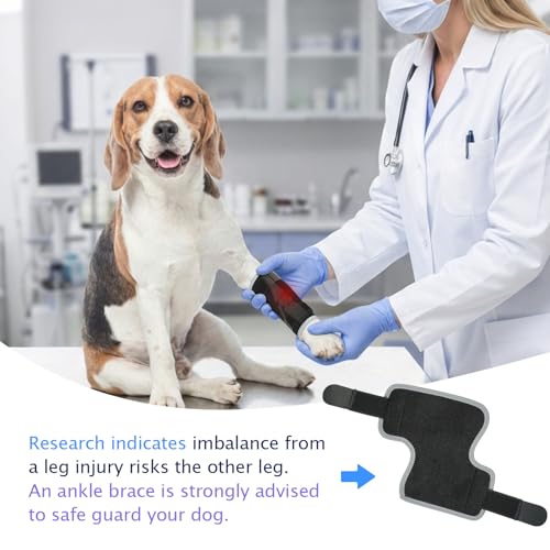 Dog Front Leg Brace - Hock Joint Compression Wrap Providing Stability for Dog for ACL , Arthritis, Joint Discomfort Aid in Wound Care and Recovery - Dog Wrist BracePreventing Injuries, Sprains (XL) - size: X-Large