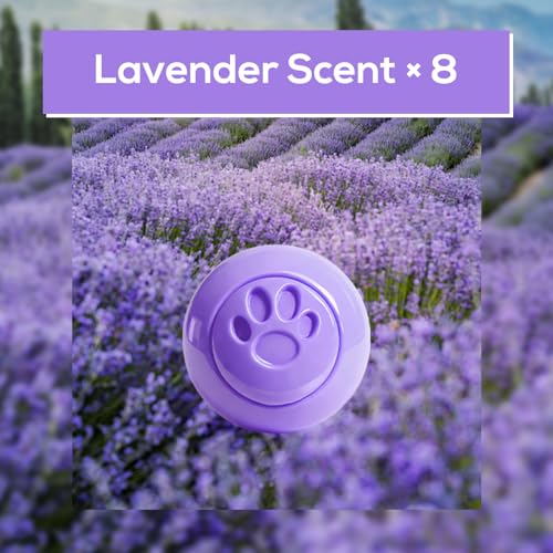 SCENTORINI Shoe Deodorizer Balls, 8 Pack Lavender Sneaker Deodorizer Balls | Odor Eliminator for Smell Shoes Boots, Long Lasting Shoe Freshener for Gym Bags, Drawers and Small Spaces - size: 0.06 Ounce (Pack of 8)