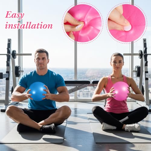 Aoriher 10 Pack 9 Inch Small Pilates Ball Bulk Mini Exercise Ball Portable Non-Slip Workout Yoga Balls with Air Pump for Stability, Barre, Fitness, Balance, Physical &Core, Gym Home Office Use - color: Pink,Blue