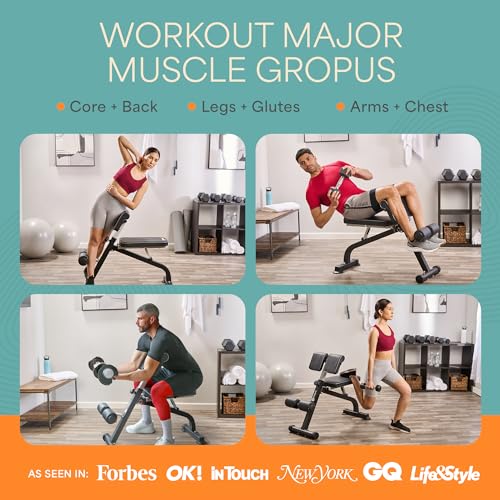 Lifepro SculptTrainer Roman Chair – 20+ Exercises, Foldable, 330 lb Cap | Hyperextension, hip thrusts, sit-ups & back extensions, 10 height positions, padded seat + dual rollers, alloy steel - color: Charcoal Gray, size: Large
